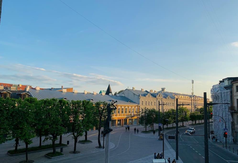 Three Bedroom With Two Terraces For 7People+Baby Kaunas Exterior foto